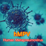 HMVP VIRUS SYMPTOMS || 2ND DEADLY OUTBRUST ALL OVER THE GLOBE ||